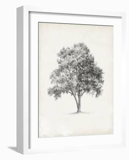 Vintage Arbor Study I-Ethan Harper-Framed Art Print