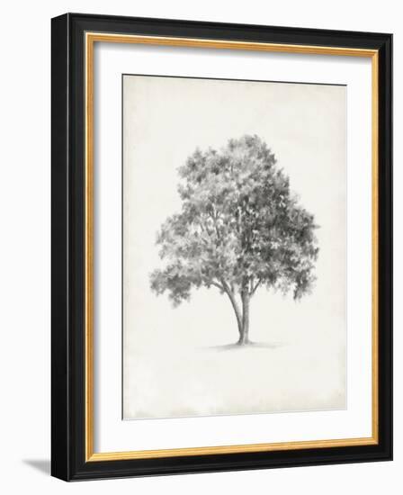 Vintage Arbor Study I-Ethan Harper-Framed Art Print