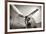 Vintage Aviation II-Chris Dunker-Framed Giclee Print