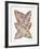 Vintage Banana Leaves-Cat Coquillette-Framed Giclee Print