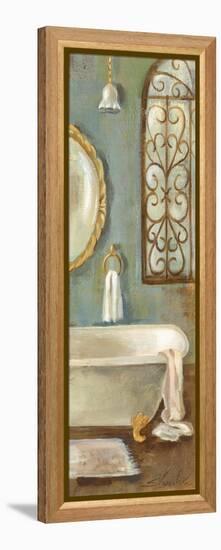 Vintage Bath II-Silvia Vassileva-Framed Stretched Canvas