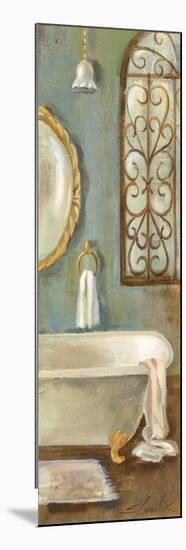 Vintage Bath II-Silvia Vassileva-Mounted Art Print