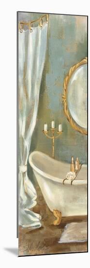Vintage Bath-Silvia Vassileva-Mounted Art Print