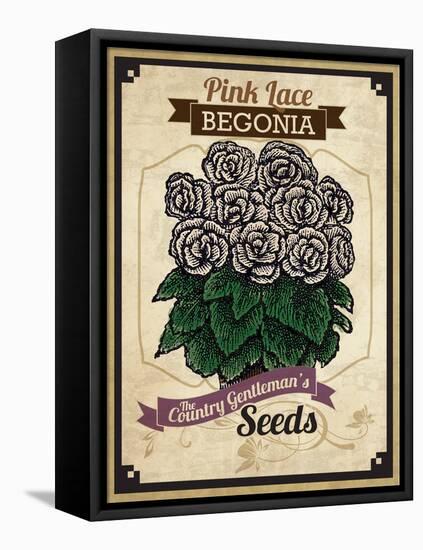 Vintage Begonia Seed Packet-null-Framed Premier Image Canvas