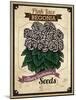 Vintage Begonia Seed Packet-null-Mounted Giclee Print