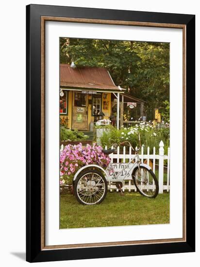 Vintage Bicycle III-Philip Clayton-thompson-Framed Photographic Print