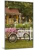 Vintage Bicycle III-Philip Clayton-thompson-Mounted Photographic Print