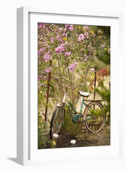 Vintage Bicycle IV-Philip Clayton-thompson-Framed Photographic Print