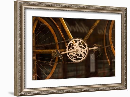 Vintage Bicycle-Erin Berzel-Framed Photographic Print