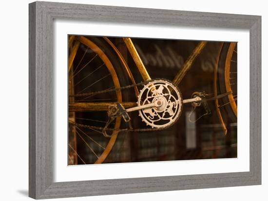 Vintage Bicycle-Erin Berzel-Framed Photographic Print