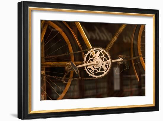 Vintage Bicycle-Erin Berzel-Framed Photographic Print