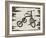 Vintage Bicycle-Karen Williams-Framed Giclee Print