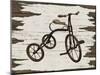Vintage Bicycle-Karen Williams-Mounted Giclee Print