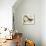Vintage Bird - Avignon-Stephanie Monahan-Giclee Print displayed on a wall
