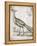 Vintage Bird I-Gwendolyn Babbitt-Framed Stretched Canvas