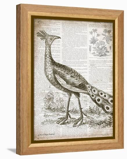 Vintage Bird I-Gwendolyn Babbitt-Framed Stretched Canvas