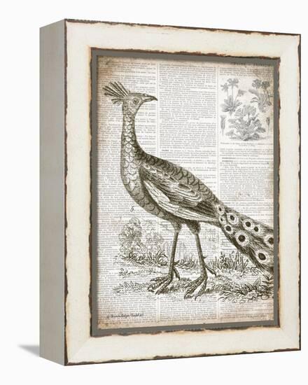 Vintage Bird I-Gwendolyn Babbitt-Framed Stretched Canvas