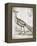 Vintage Bird I-Gwendolyn Babbitt-Framed Stretched Canvas