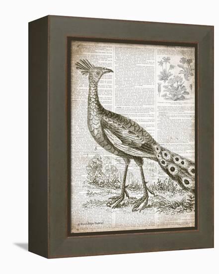 Vintage Bird I-Gwendolyn Babbitt-Framed Stretched Canvas