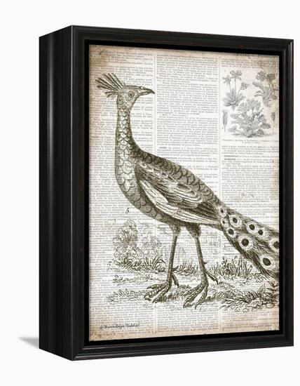 Vintage Bird I-Gwendolyn Babbitt-Framed Stretched Canvas