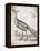 Vintage Bird I-Gwendolyn Babbitt-Framed Stretched Canvas