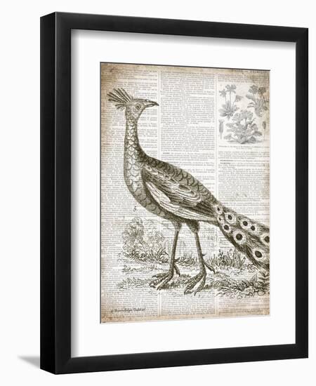 Vintage Bird I-Gwendolyn Babbitt-Framed Premium Giclee Print