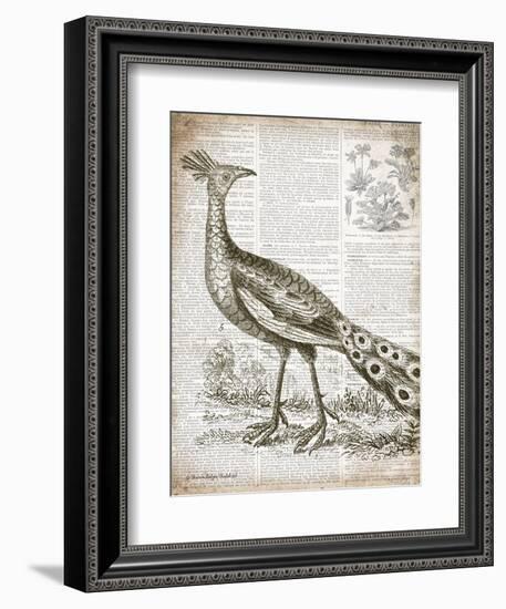 Vintage Bird I-Gwendolyn Babbitt-Framed Premium Giclee Print