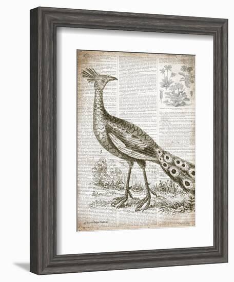 Vintage Bird I-Gwendolyn Babbitt-Framed Art Print