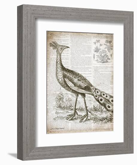 Vintage Bird I-Gwendolyn Babbitt-Framed Art Print