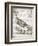 Vintage Bird I-Gwendolyn Babbitt-Framed Art Print