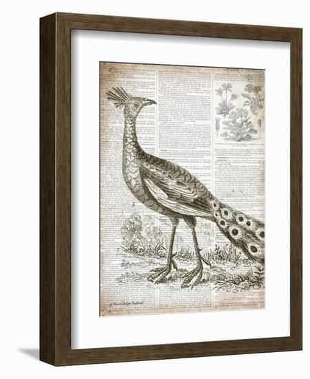 Vintage Bird I-Gwendolyn Babbitt-Framed Art Print