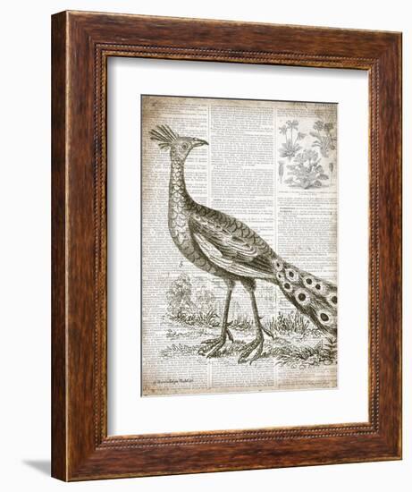 Vintage Bird I-Gwendolyn Babbitt-Framed Art Print