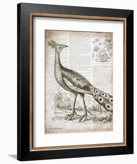 Vintage Bird I-Gwendolyn Babbitt-Framed Art Print