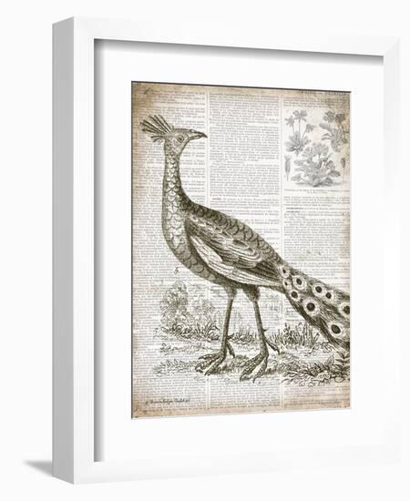 Vintage Bird I-Gwendolyn Babbitt-Framed Art Print