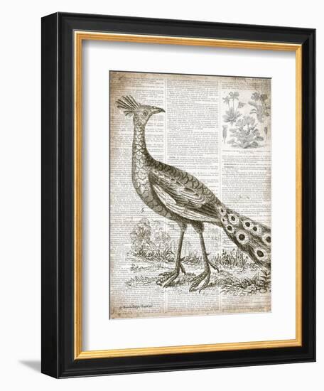 Vintage Bird I-Gwendolyn Babbitt-Framed Art Print