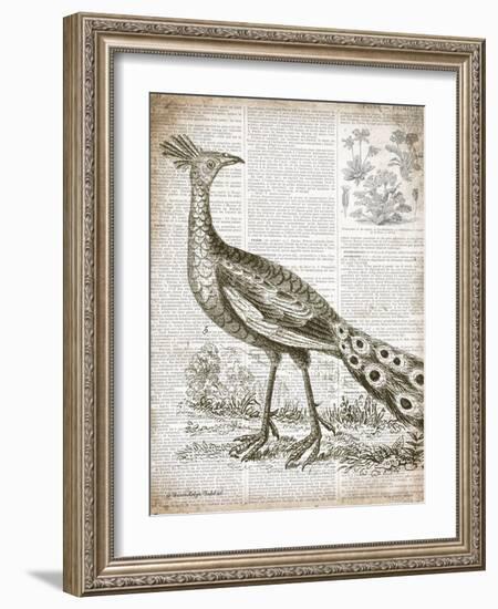 Vintage Bird I-Gwendolyn Babbitt-Framed Art Print