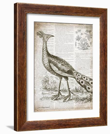 Vintage Bird I-Gwendolyn Babbitt-Framed Art Print