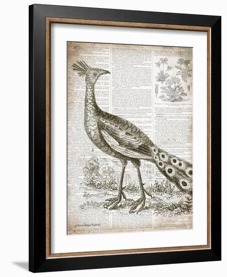 Vintage Bird I-Gwendolyn Babbitt-Framed Art Print