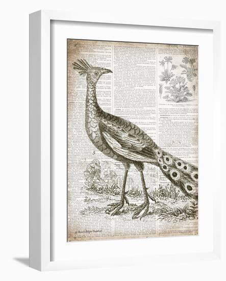 Vintage Bird I-Gwendolyn Babbitt-Framed Art Print