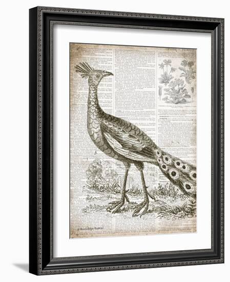 Vintage Bird I-Gwendolyn Babbitt-Framed Art Print