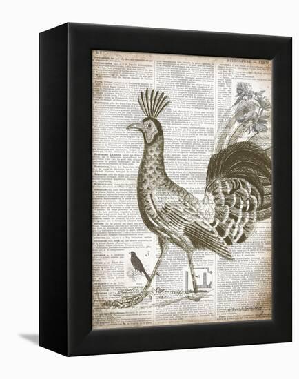 Vintage Bird II-Gwendolyn Babbitt-Framed Stretched Canvas