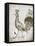 Vintage Bird II-Gwendolyn Babbitt-Framed Stretched Canvas