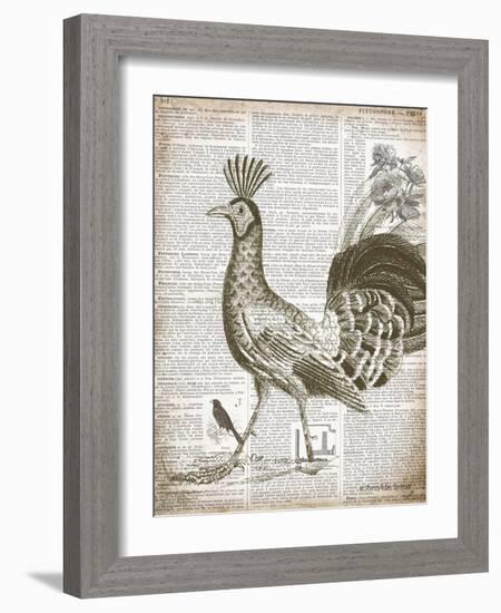 Vintage Bird II-Gwendolyn Babbitt-Framed Art Print