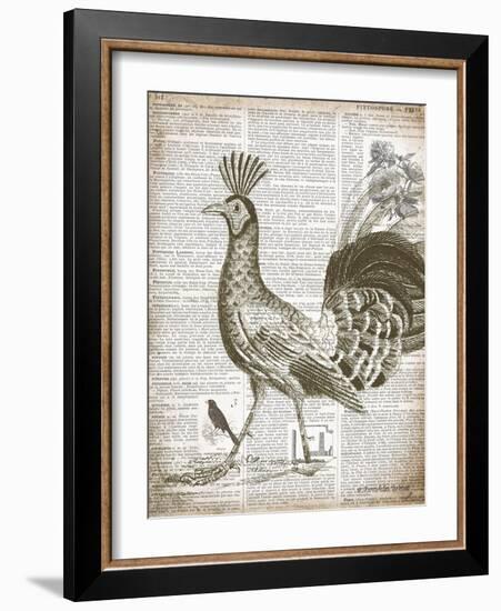 Vintage Bird II-Gwendolyn Babbitt-Framed Art Print