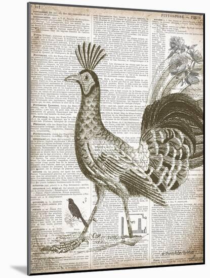 Vintage Bird II-Gwendolyn Babbitt-Mounted Art Print