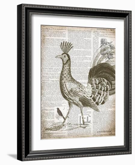 Vintage Bird II-Gwendolyn Babbitt-Framed Art Print