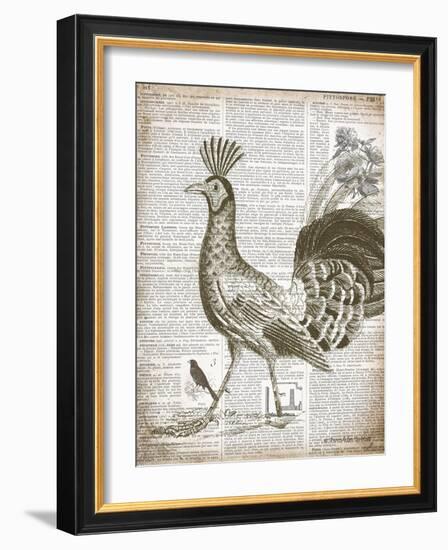 Vintage Bird II-Gwendolyn Babbitt-Framed Art Print