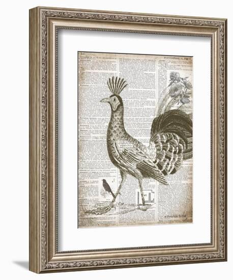 Vintage Bird II-Gwendolyn Babbitt-Framed Art Print