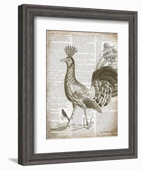 Vintage Bird II-Gwendolyn Babbitt-Framed Art Print