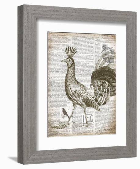 Vintage Bird II-Gwendolyn Babbitt-Framed Art Print